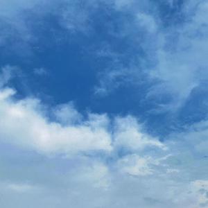 排出男男啊啊啊太多了
